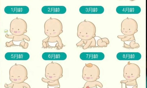 天津格林国际幼儿园学费-权威14油耗投多少钱一公里平台,分享专业产品商标怎么查知识_小儿感冒素婴儿吃法网